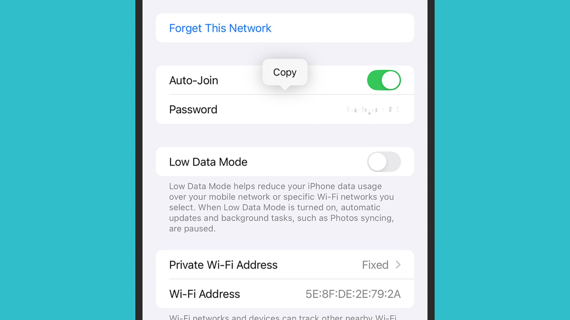 iOS Wi-Fi password