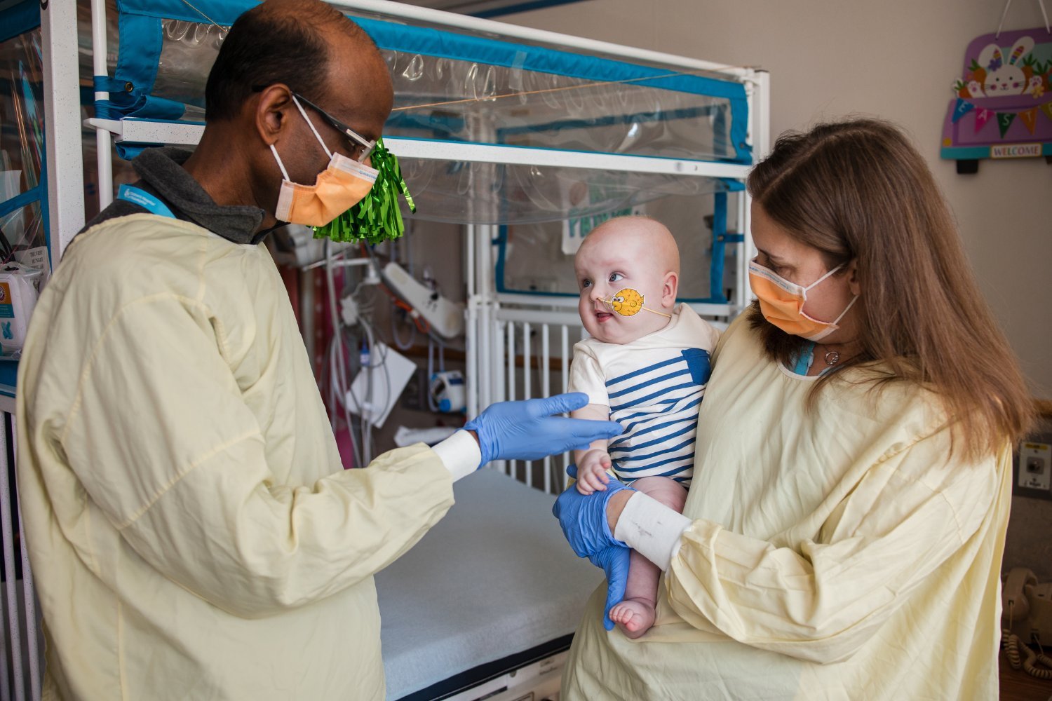 Crispr Baby