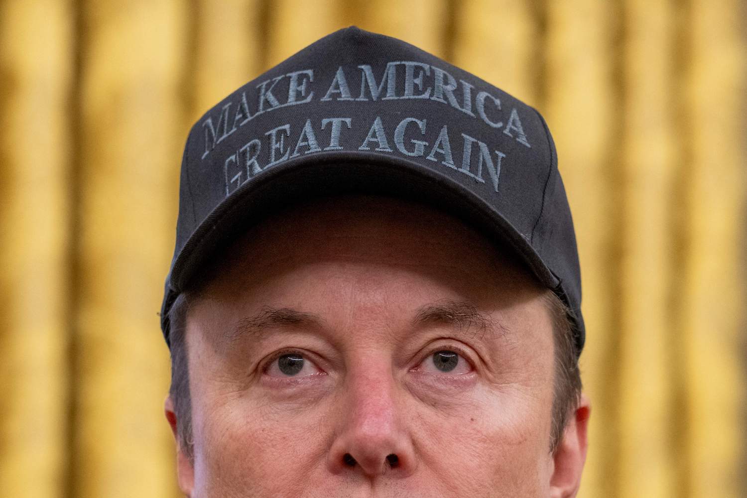 Elon