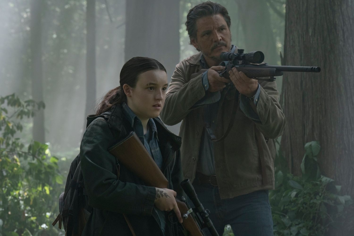 Last Of Us 6 Guns