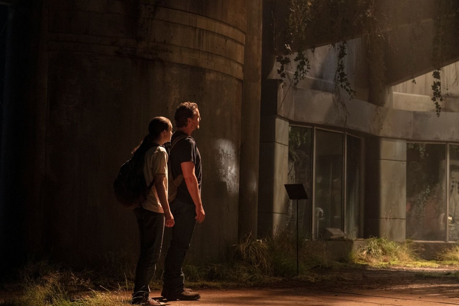 Last Of Us 6 Museum