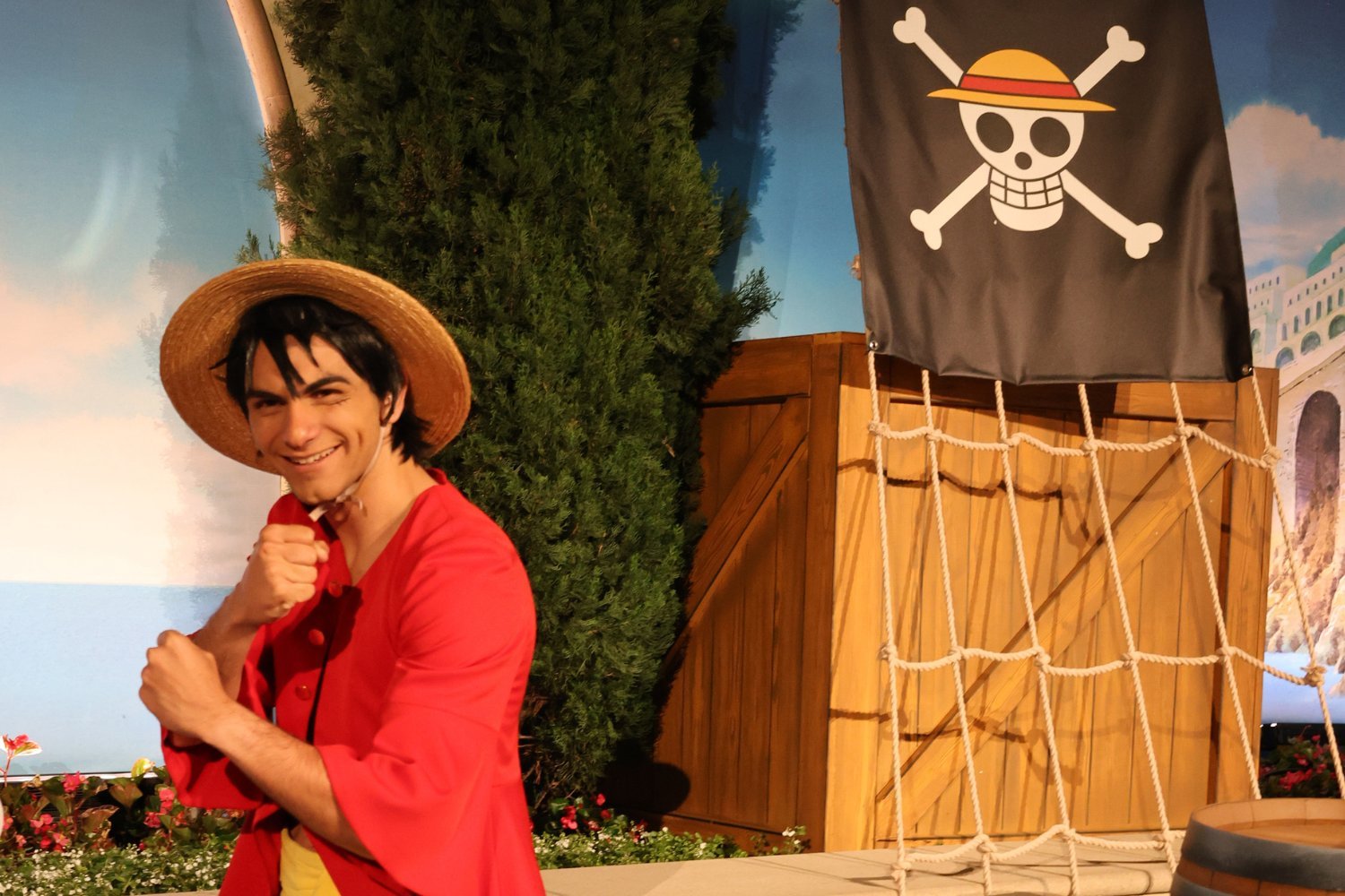 Luffy Monkey D
