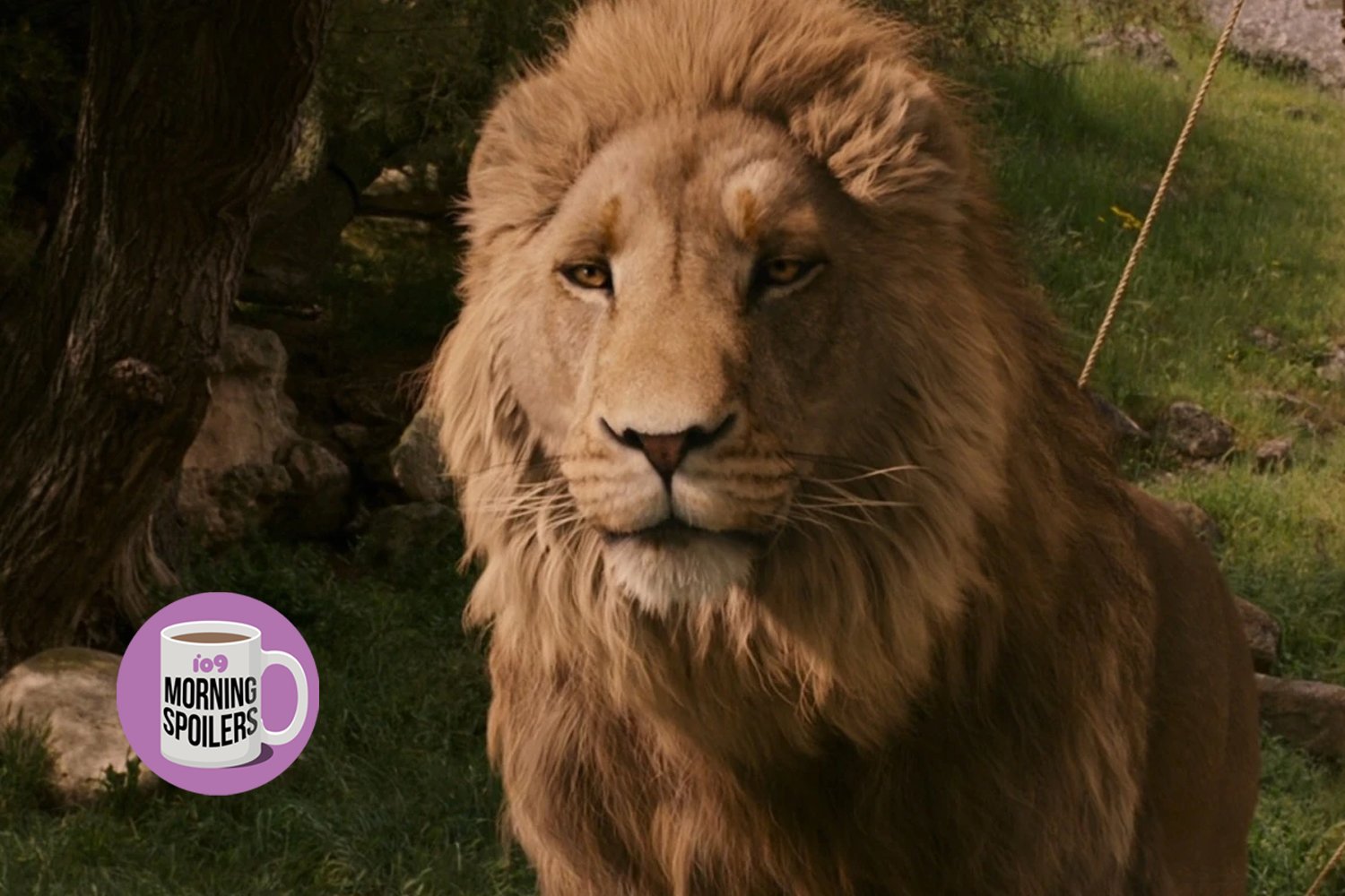 Ms 0404 Chronicles Of Narnia Aslan
