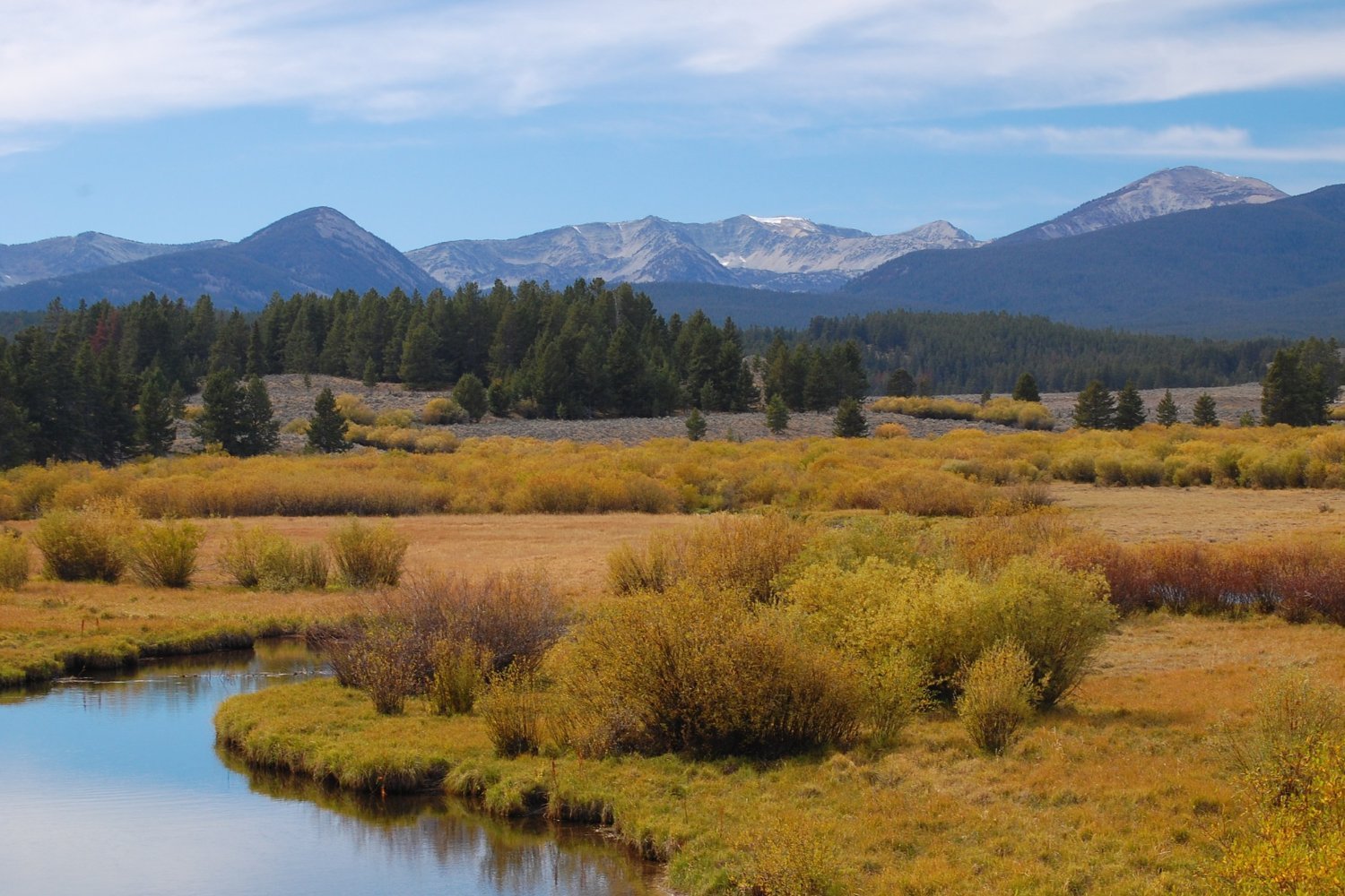 Beaverhead-Deerlodge National Forest in Montana.
