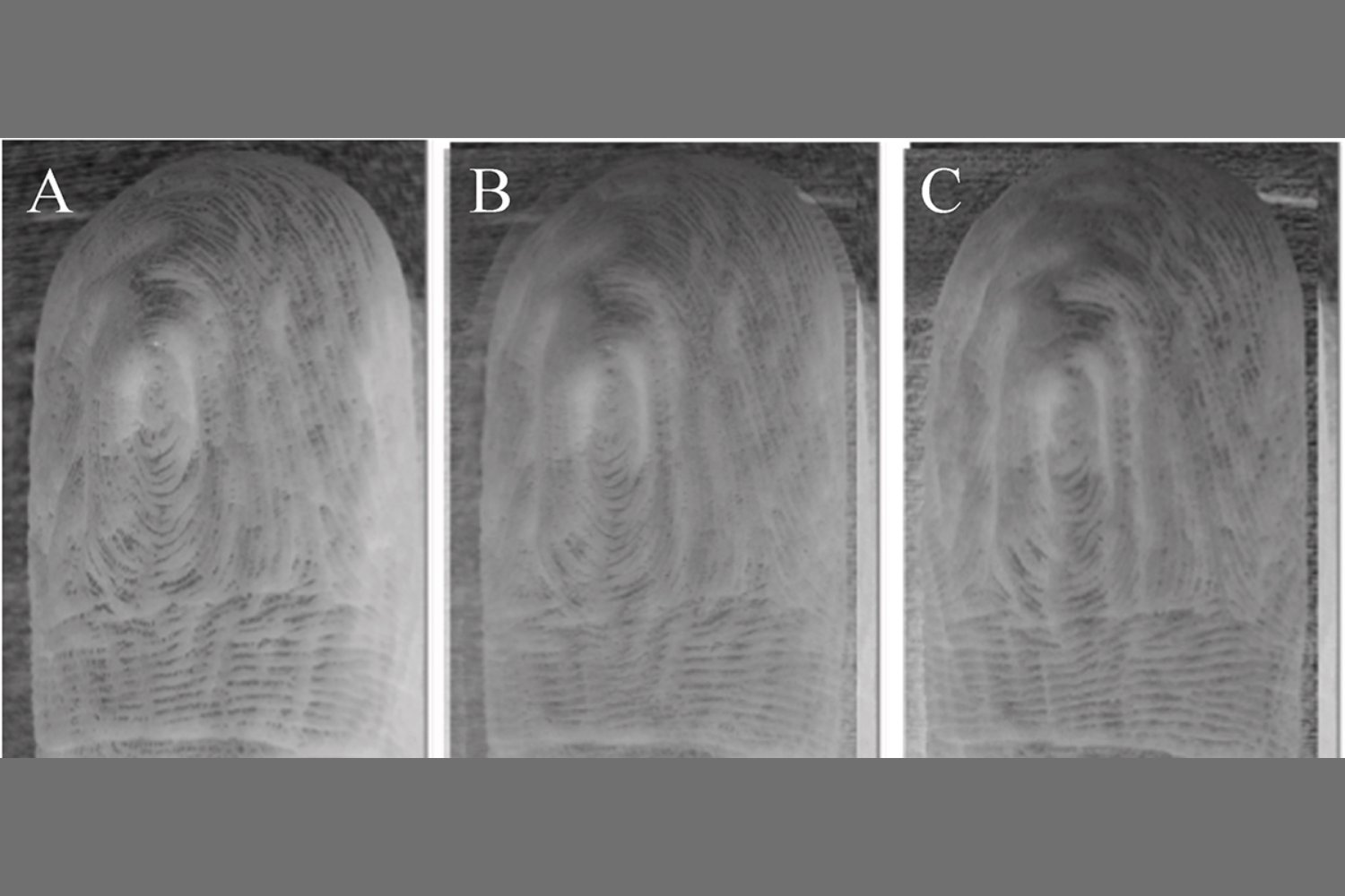 Pruney Fingerprints
