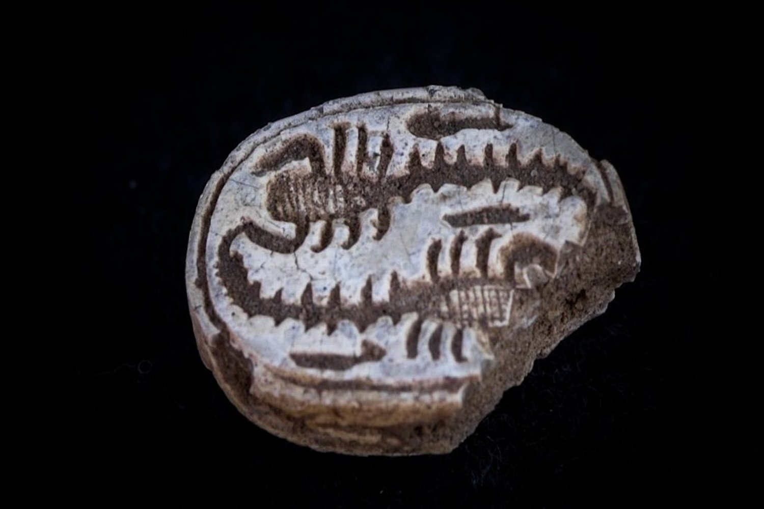 Scarab Discovered In Israel