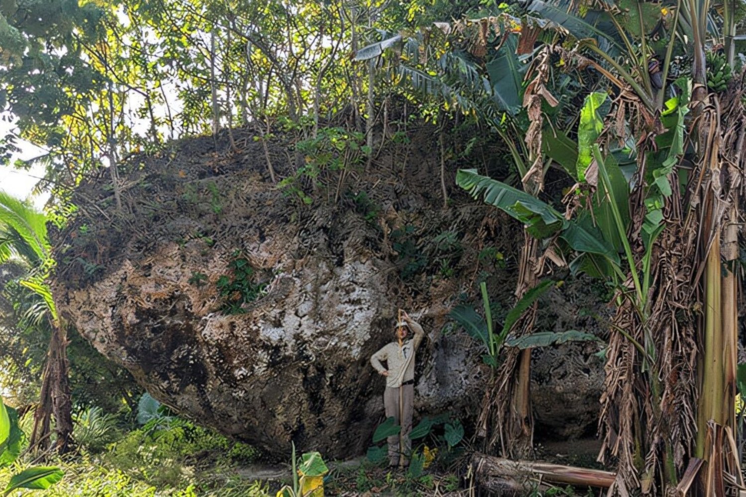 Tonga Boulder Washed Inland