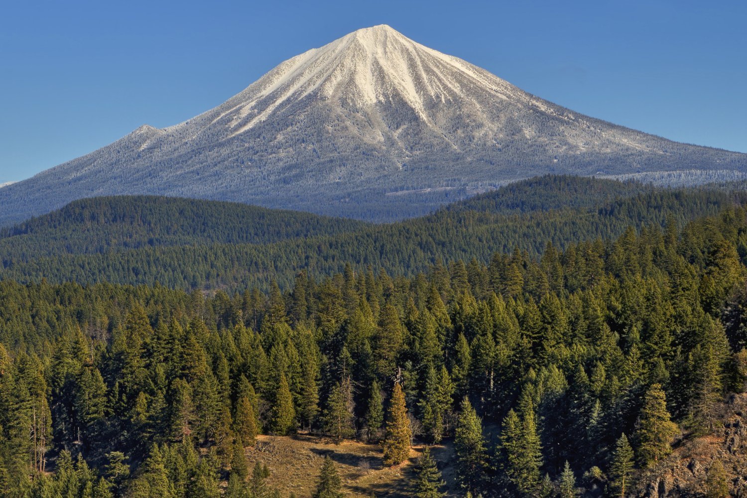 Volcano With Trees